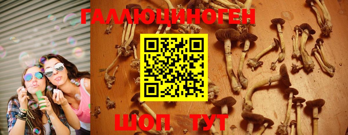 Псилоцибиновые грибы мухоморы  Вход с VPN  Дивногорск 